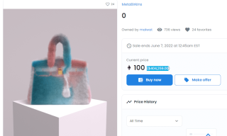 IP-Stealing Artist Gets Burned by His Own Game as Cyber-Sleuths Pirate ‘MetaBirkin’ NFTs