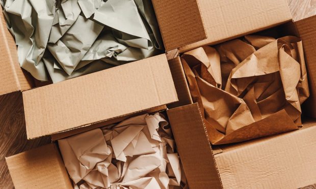 Bizongo Valued at $600M After $110M Series D Fundraising Round