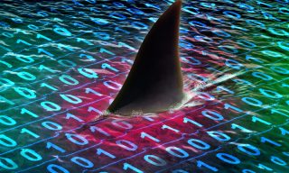 CyCognito Closes $100M Series C to Advance Attack Surface Protection