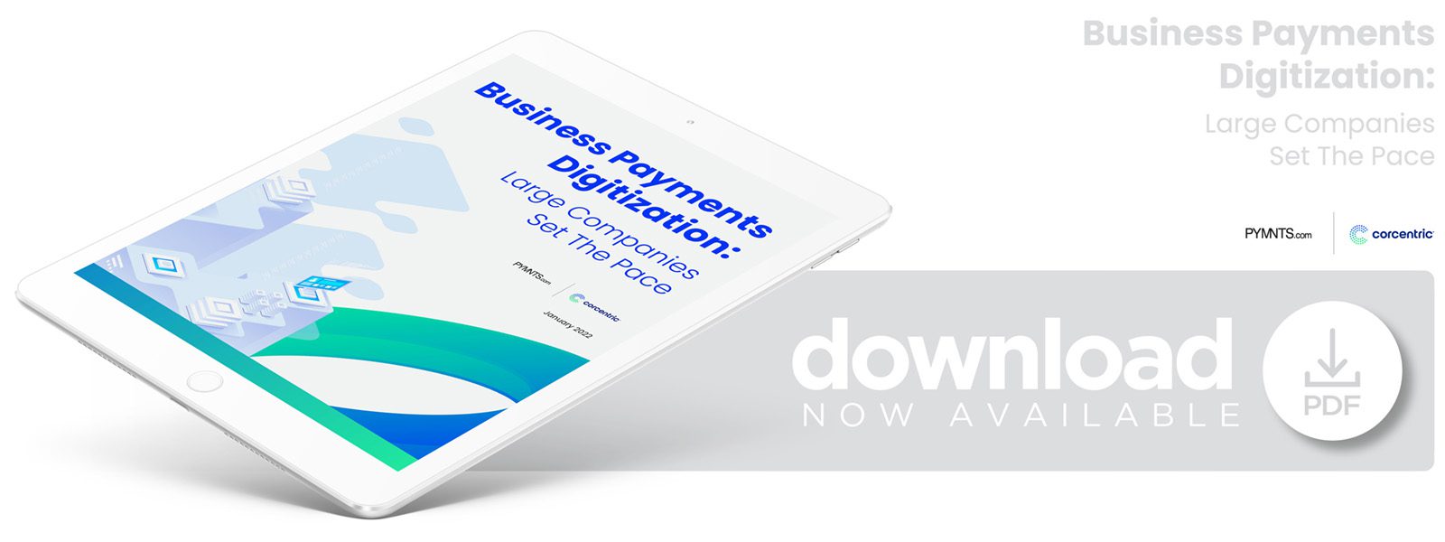 Business Payments Digitization: Large Companies Set The Pace January 2022 - Learn why large corporations are fast-tracking their payments digitization efforts