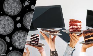 Report: QSRs Chase Tech-Savvy Diner Spend With New Digital Tools