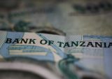 Bank of Tanzania Plans February Launch of Instant Payment System