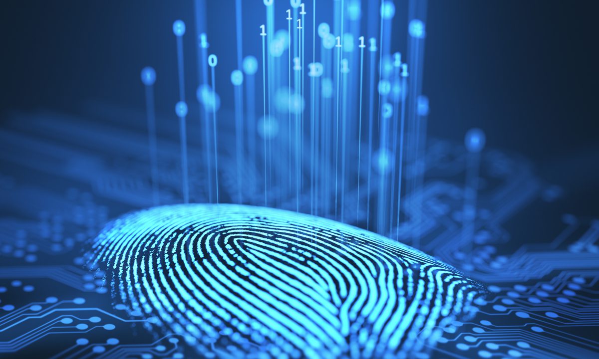 Securing Personal Identity With Digital ID Connected to User Biometrics