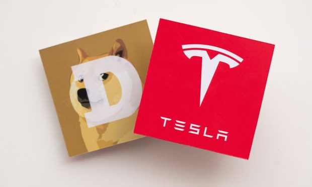 Tesla, dogecoin, payment, doge