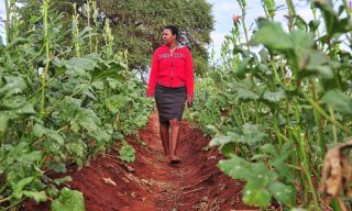Zimbabwe’s AgriTech Startup Cholsas Aims to Connect Farmers, Markets and Suppliers