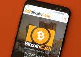 PYMNTS Blockchain Series: What Is Bitcoin Cash? The No. 2 Payments-Focused Crypto Goes Its Own Way