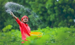 India Seals Iranian Urea Import Contract, Will Pay in Rupees