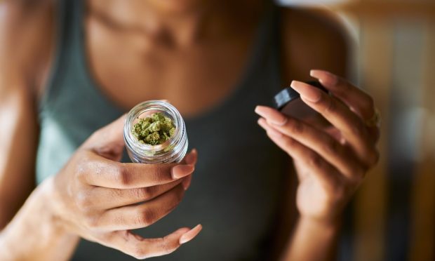 Repsly Partnership to Enhance Curaleaf’s Retail Tech Stack