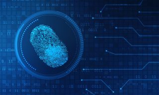 Could Passwords Give Way to Biometric Authentication?