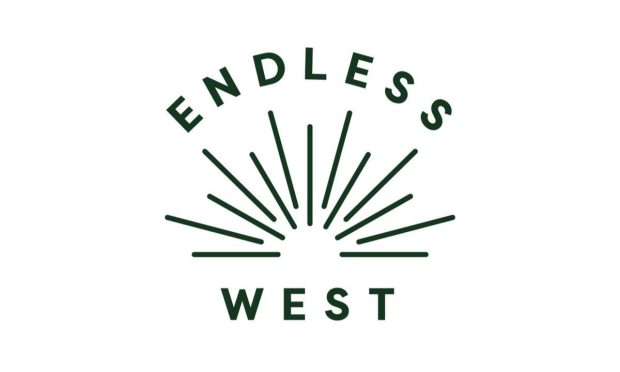 Endless West, startup, Series C