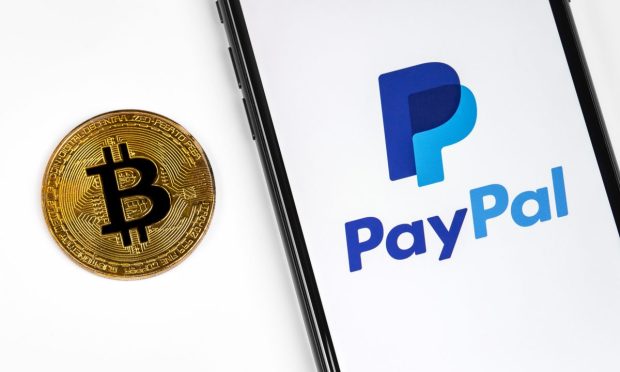 PayPal, crypto, board, BCDC