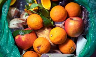 Amid Rising Food Costs, Startups Monetize Would-Be Waste