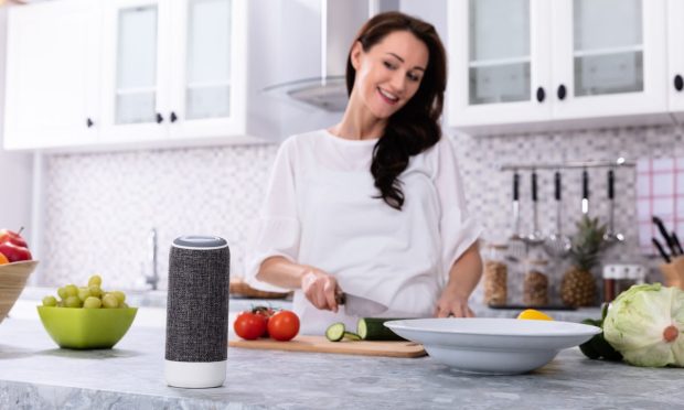 Voice Tech Expands Connected Economy in 2022