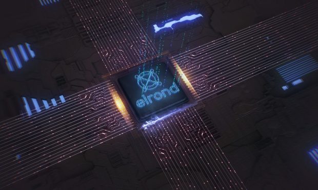 Romanian Central Bank Approves Elrond’s Acquisition of Twispay