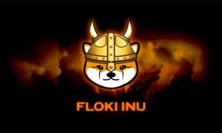 UK Regulator Bans Crypto Floki Inu Ad