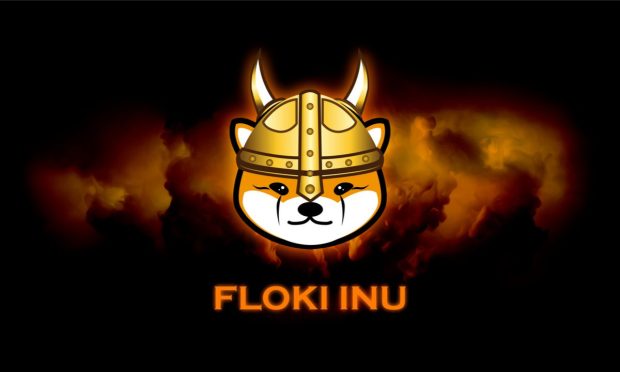 Floki Inu, advertising, regulations