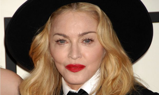 Madonna Becomes Latest Celeb Aboard Bored Ape