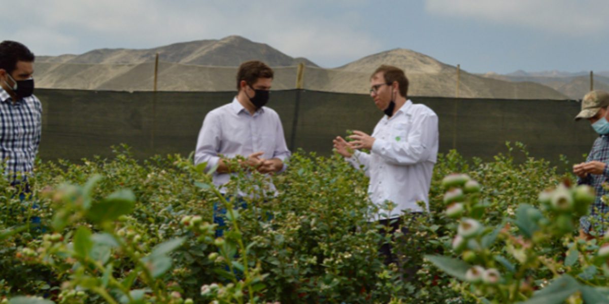 FinTech Takes Fresh Approach To Financing The Buying and Selling of Perishable Produce