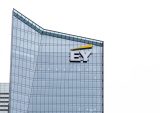 German Court OKs Ernst & Young Class Action Case
