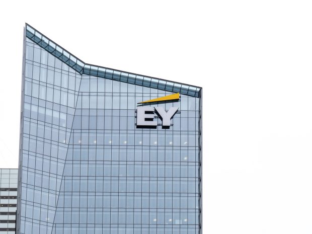 German Court OKs Ernst & Young Class Action Case