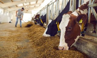 AgriTech Better Origin Raises $16M for AI-Powered Sustainable Farms