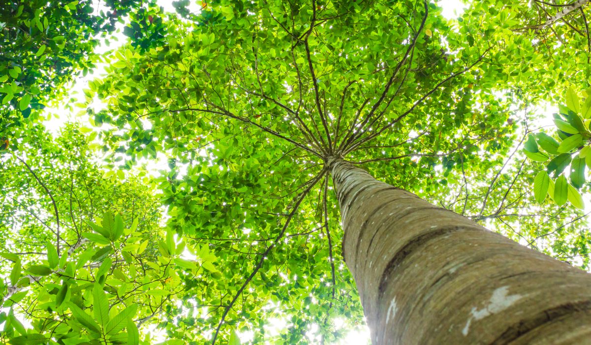 Matterwave Raises $79 Million for EU Sustainability Projects
