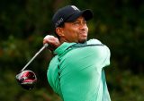 Tiger Sightings Good for the Game but Golf Industry Needs Fresh Links to Next Round of Players
