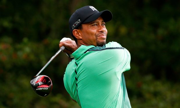 Tiger Sightings Good for the Game but Golf Industry Needs Fresh Links to Next Round of Players
