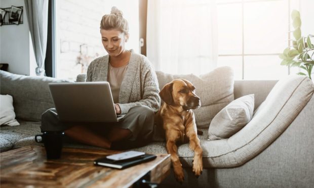 New Yorkers Want to Cut in-Person Work Hours, Curb Spending, Report Says