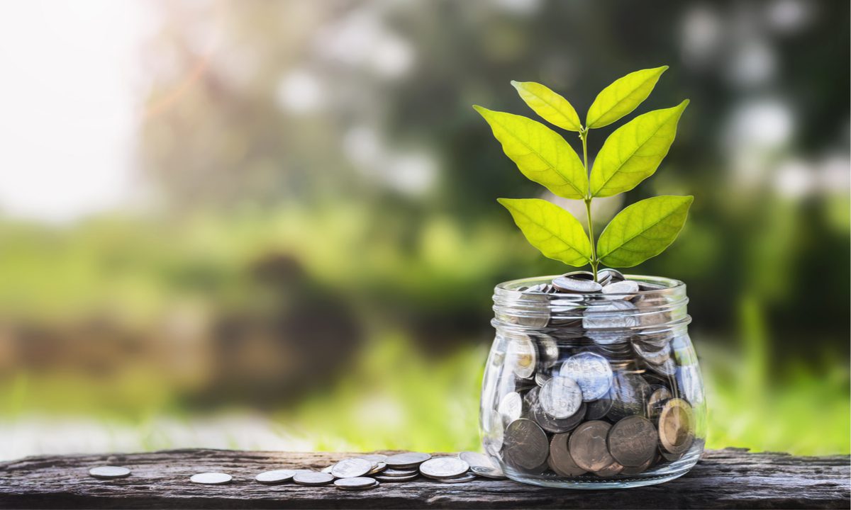 Sowing the Seeds of the Connected Economy, Seed Round by Seed Round