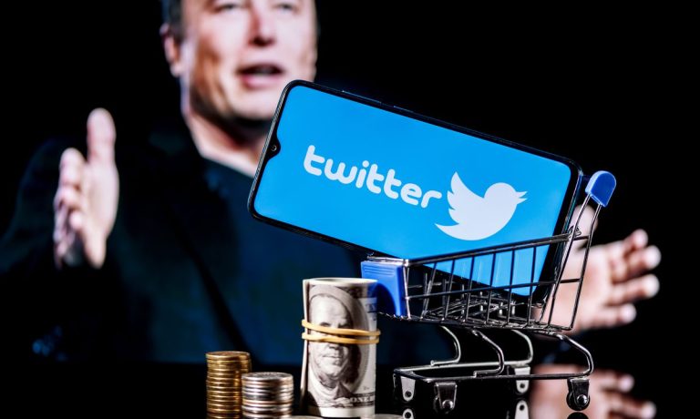 elon musk, twitter, on hold, spam, bots, fake accounts