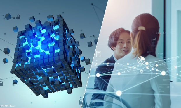 For Australia Zoo, New Eco-Friendly NFT Was the Right Fundraising Fit