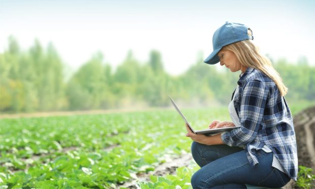 Software Technology Firm Bushel Launches Farmer-Friendly Digital Payments