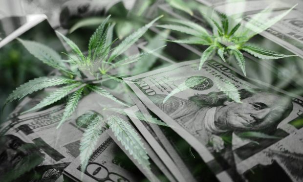 cannabis payments
