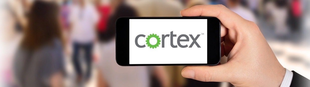 Behavioral Analytics To Limit Identity Fraud