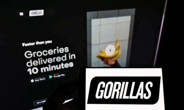 Gorillas Leaves Belgium, Hands Off Some Business to Efarmz