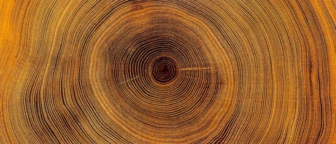 How Platforms Create Value Through Coring and Implications for Market