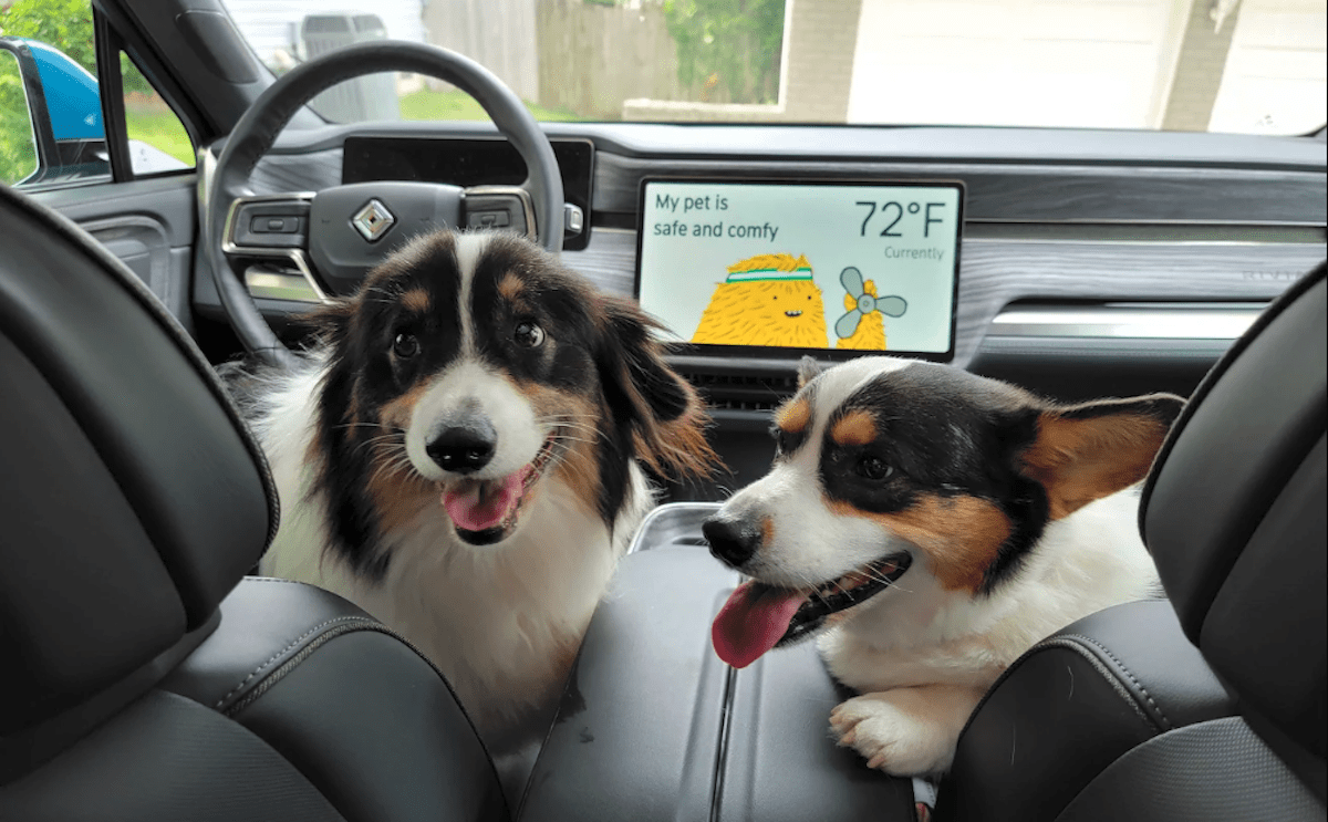 Smart Cars Protect Pets While You Run Errands