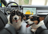 Smart Cars Protect Your Pet While You’re Running Errands