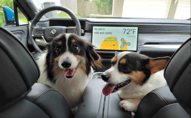 Smart Cars Protect Your Pet While You’re Running Errands