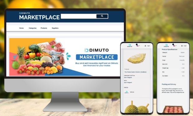 DiMuto, marketplace, B2B, AgriFood, eCommerce