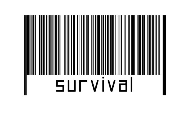 Market Crash Tests Crypto’s Survival of the Fittest