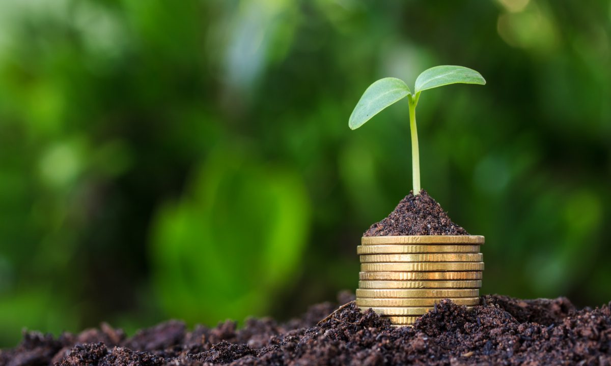 Finli Hopes to Grow Following $6M Seed Round
