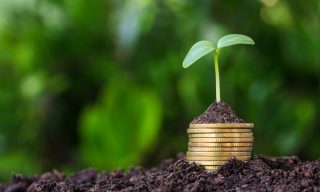 Finli Hopes to Grow Following $6M Seed Round