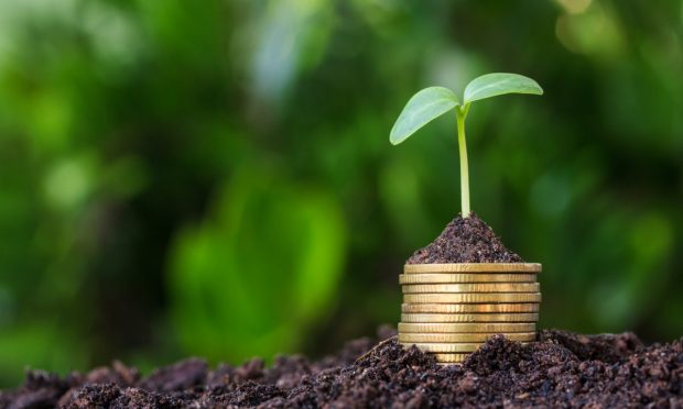 Finli Hopes to Grow Following $6M Seed Round