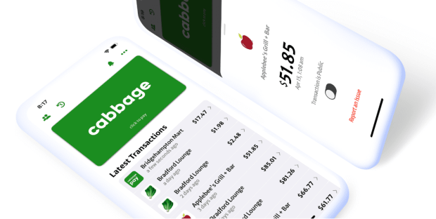 FinTech CabbagePay Launches in US