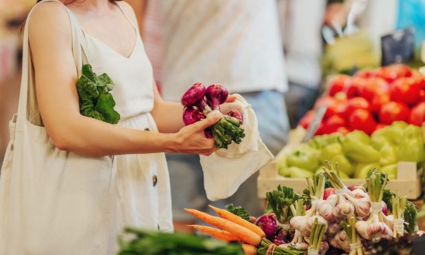 Smaller Grocers Playing Loyalty Catch-Up