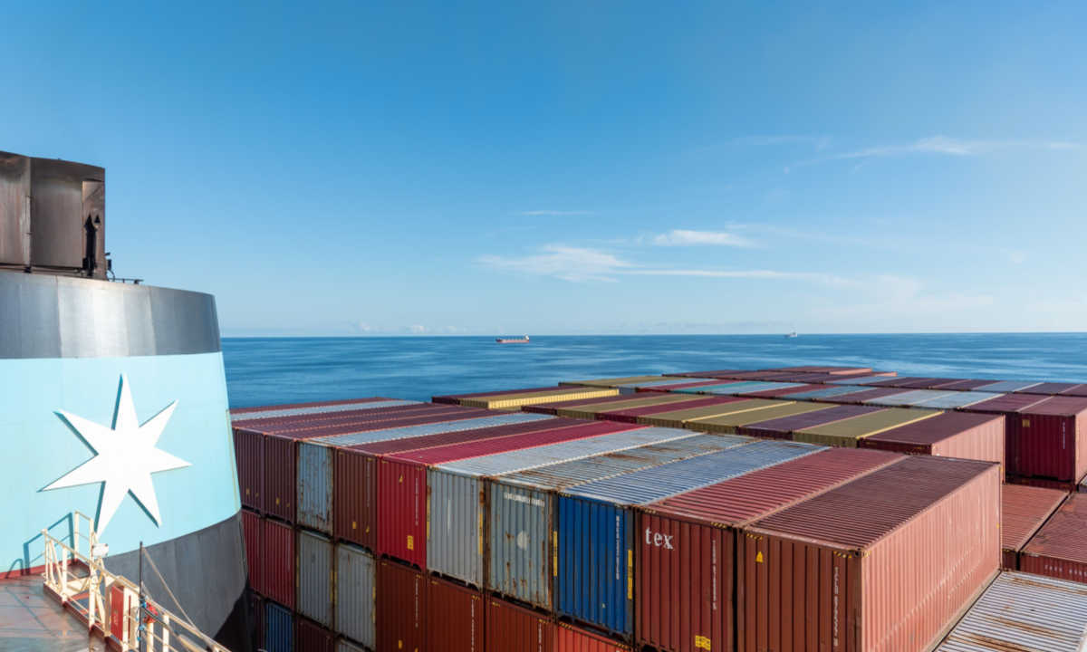 TradeLens: Transportation Transformation or Quixotic Quagmire?
