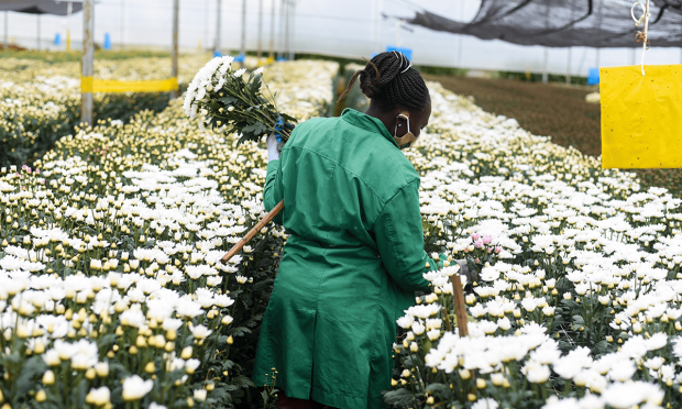 Today in B2B Payments: 2 B2B Platforms Receive Investments for Growth