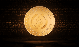 Stablecoins Keep Racking Up Milestones, but Can They Crack B2B Payments?
